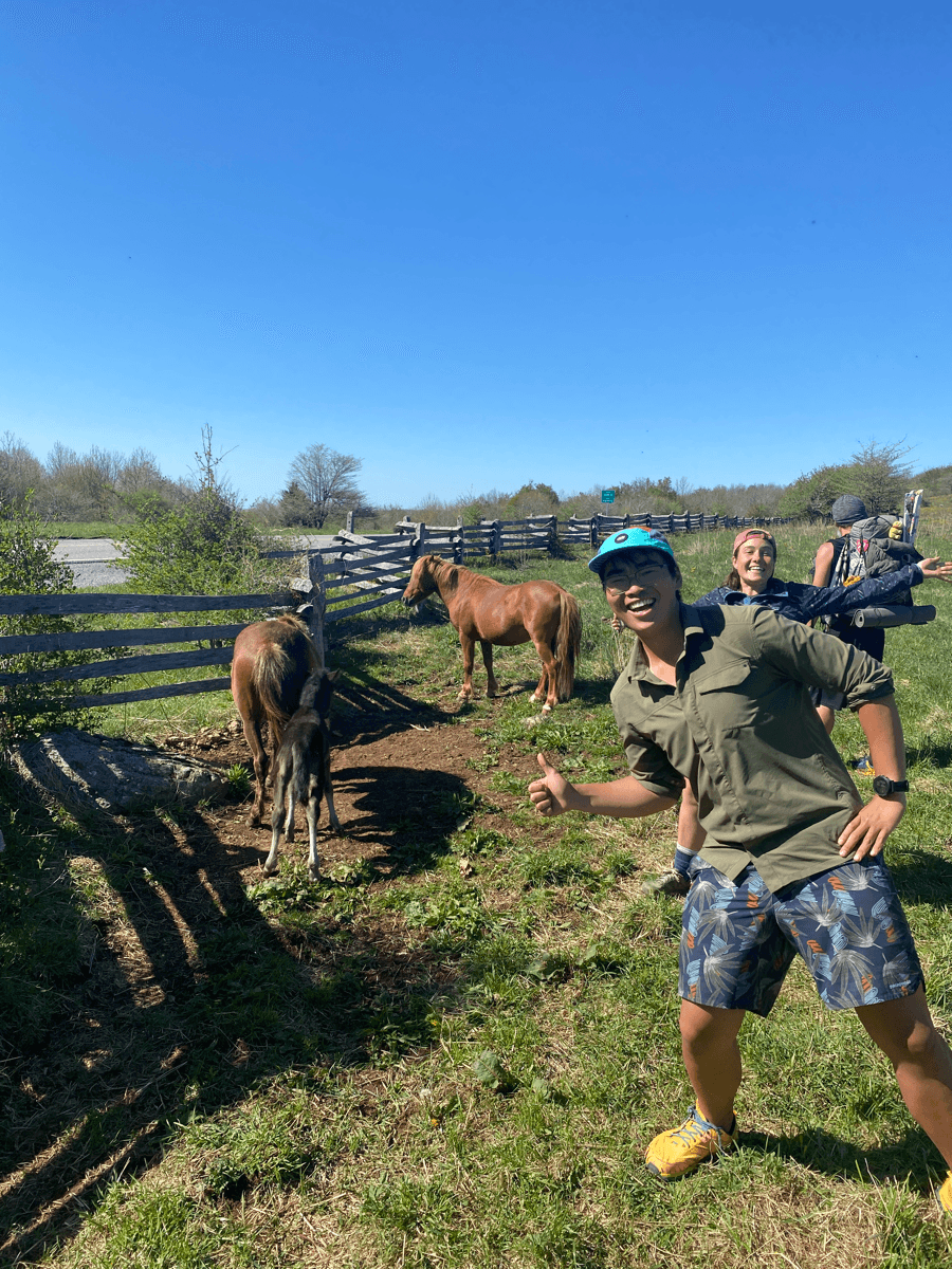 Day 42 - Seeing wild ponies in the Grayson Highlands